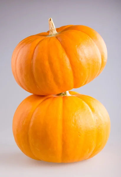 Fresh orange pumpkin — Stock Photo, Image