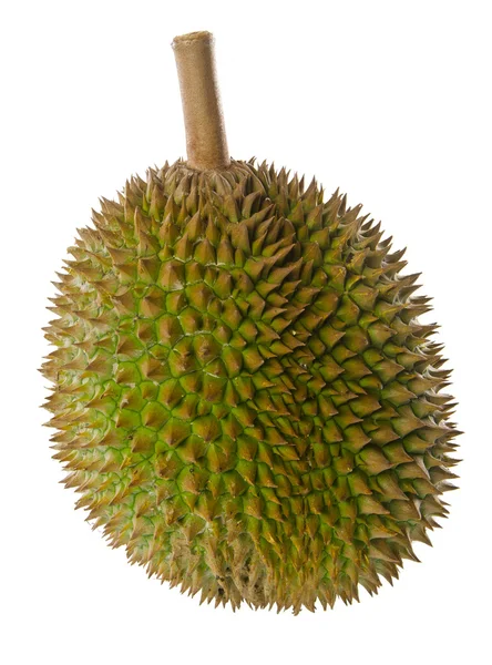 Durian, the king of fruits South East Asia on background. — Stock Photo, Image