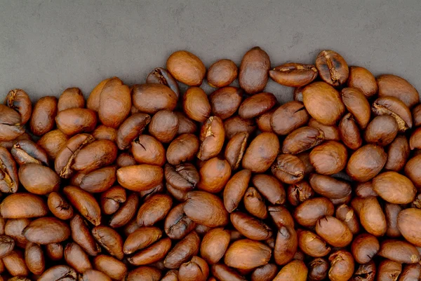 Kaffe bean — Stockfoto