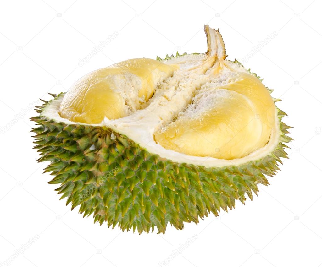 Shell (husk) of the prized durian fruit.