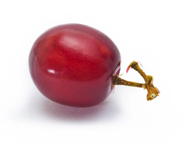 Grape — Stock Photo, Image