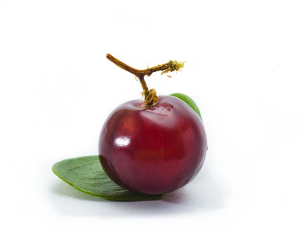 Grape — Stock Photo, Image