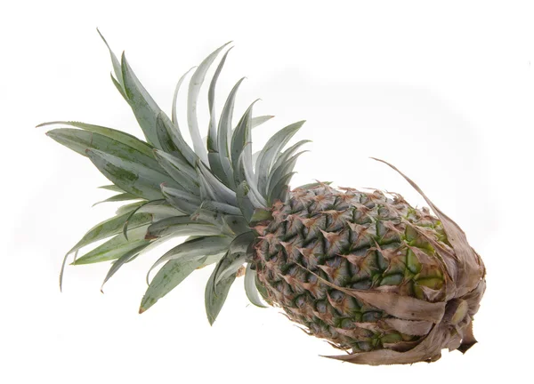 Ananas, ananas owoce tropikalne na tle — Zdjęcie stockowe