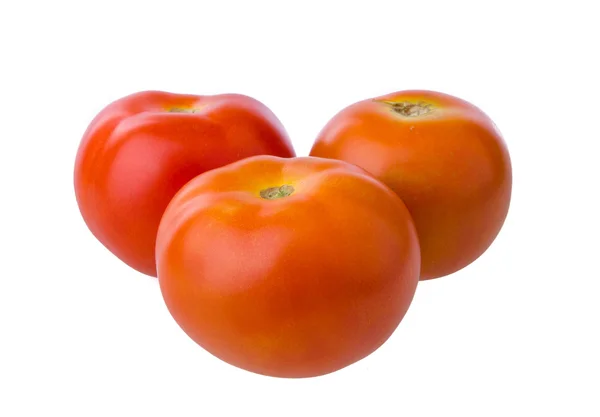 Tomaten — Stockfoto