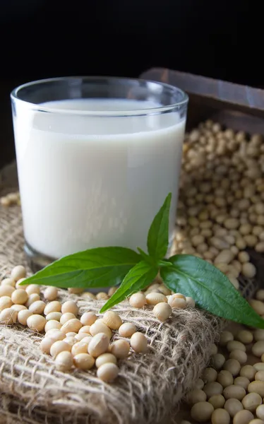 Soy milk — Stock Photo, Image