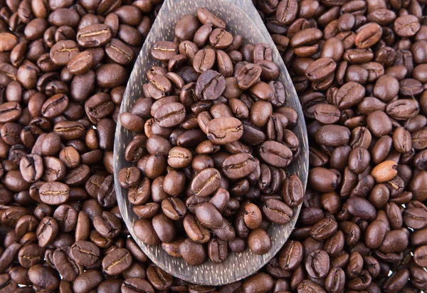 Coffee Beans — Stock Photo, Image