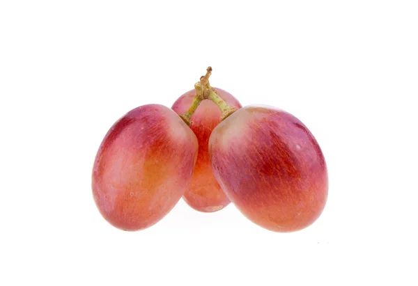 Red grape — Stock Photo, Image