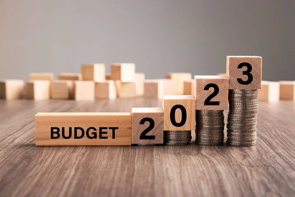 Finance Economy Concept Budget 2023 Text Wooden Blocks Background — Stockfoto