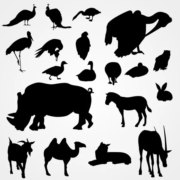 Conjunto de siluetas de animales en el zoológico — Archivo Imágenes Vectoriales