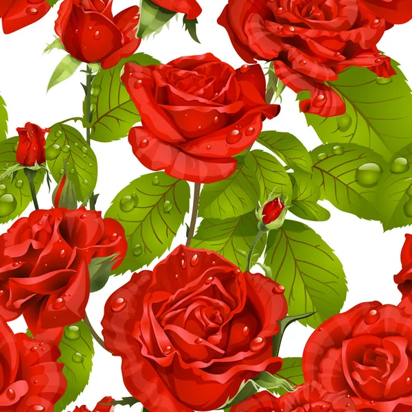 Modèle sans couture de luxe de roses rouges sur fond blanc — Image vectorielle