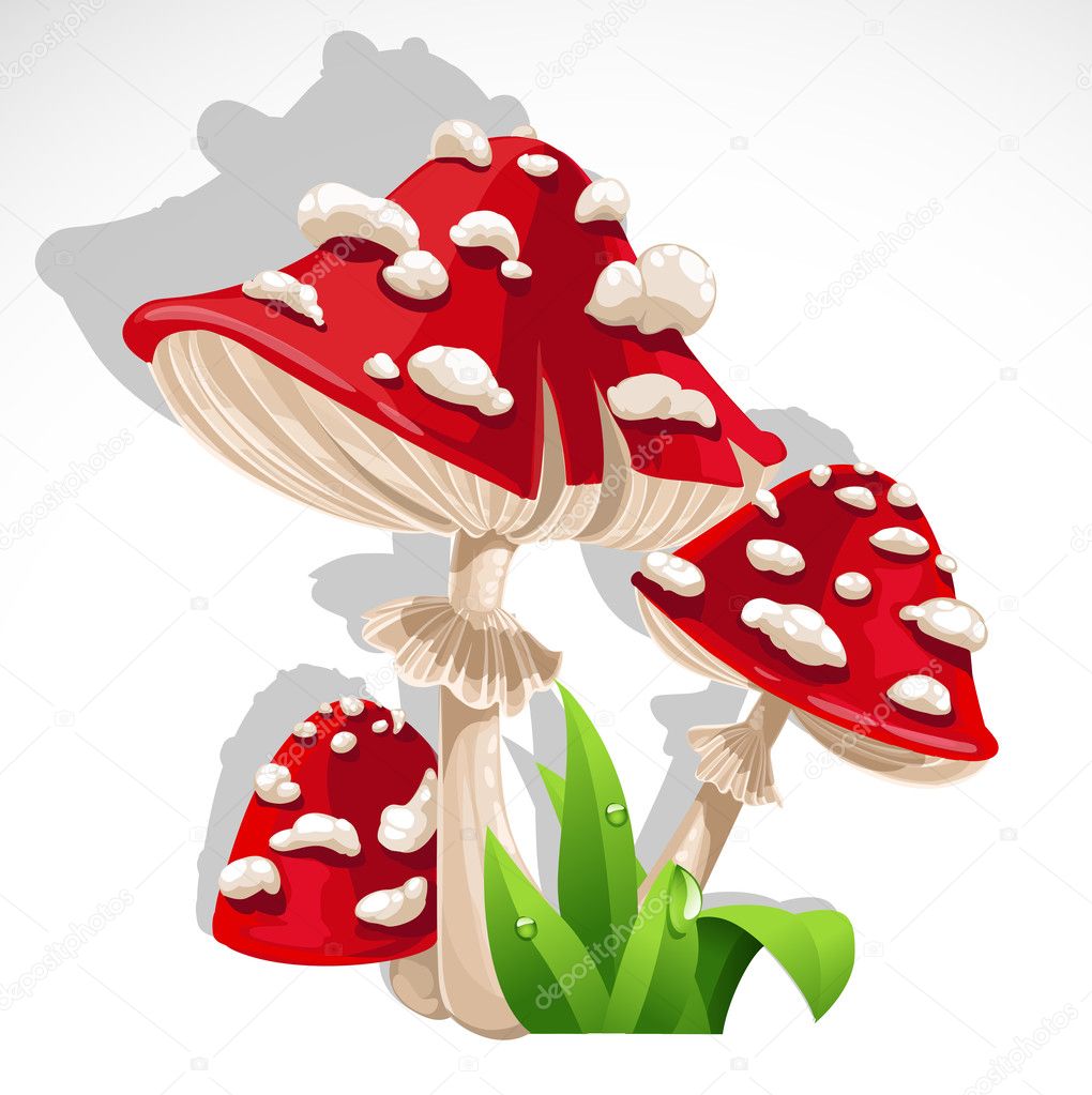 Red fresh Mushroom amanita in grass