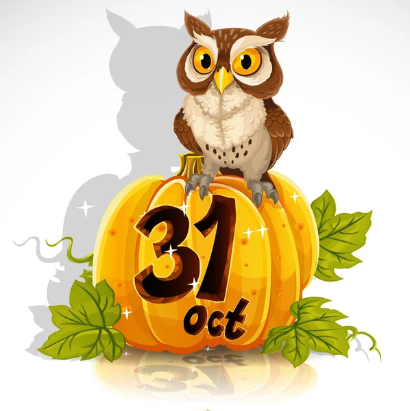 Мудрая сова сидеть на тыквы - Хэллоуин 31 октября — стоковый вектор