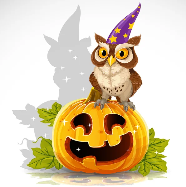 Verstandig goochelaar uil zitten op een pompoen - halloween symbool jack — Stockvector