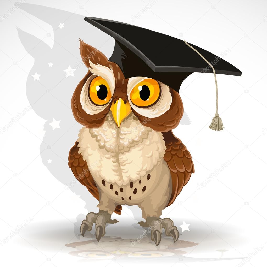 Wise owl in the cap of the graduate
