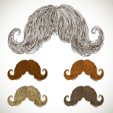 Lush mustache groomed in several colors. clipart