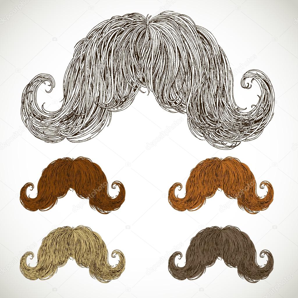 Lush mustache groomed in several colors.