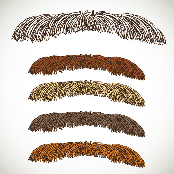 Тонкие мужские антенны
