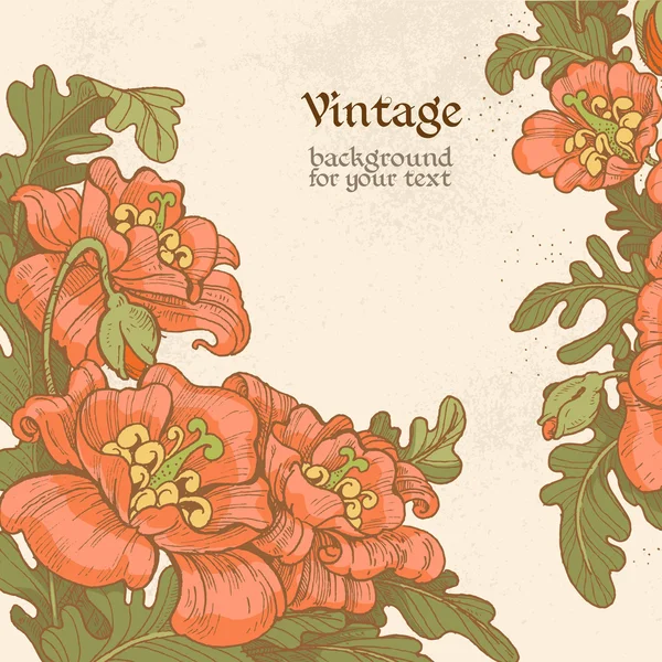 Marco vintage decorativo con imágenes gráficas en color de amapolas para su mensaje — Archivo Imágenes Vectoriales