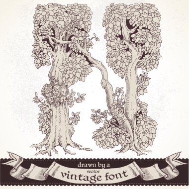 fable orman elle çizilmiş bir vintage font - n
