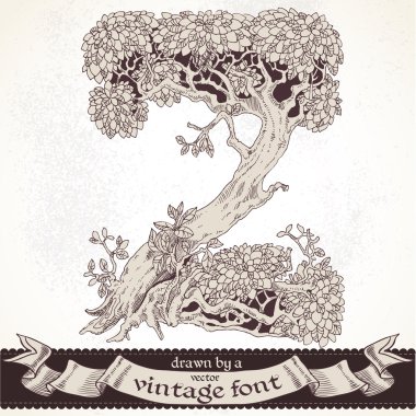 fabl orman elle çizilmiş bir vintage font - z
