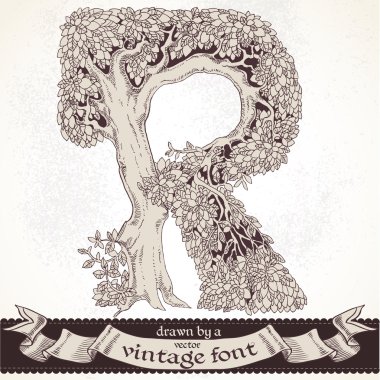 fabl orman elle çizilmiş bir vintage font - r