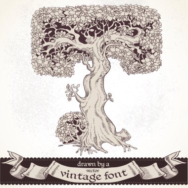 fabl orman elle çizilmiş bir vintage font - t