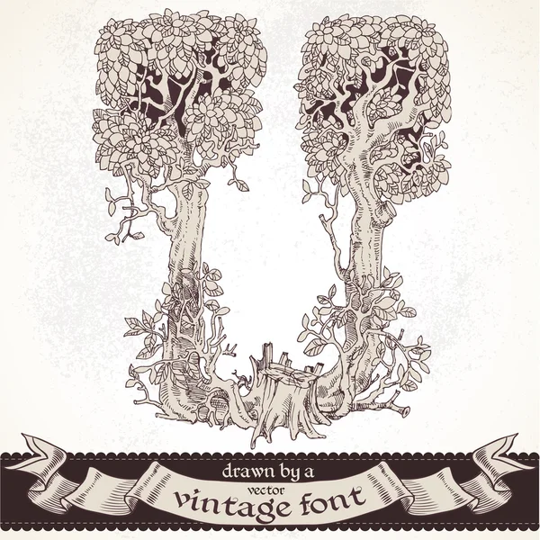 Fable mano foresta disegnata da un font vintage - u — Vettoriale Stock