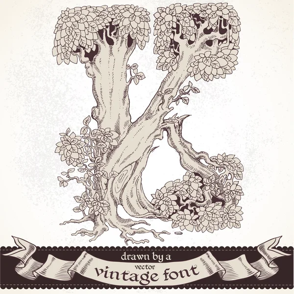 Fable mano foresta disegnata da un font vintage - k — Vettoriale Stock