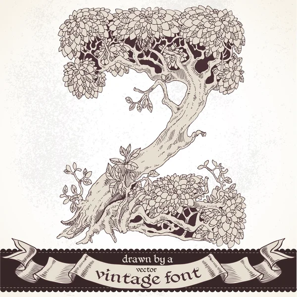 Fable mano foresta disegnata da un font vintage - z — Vettoriale Stock