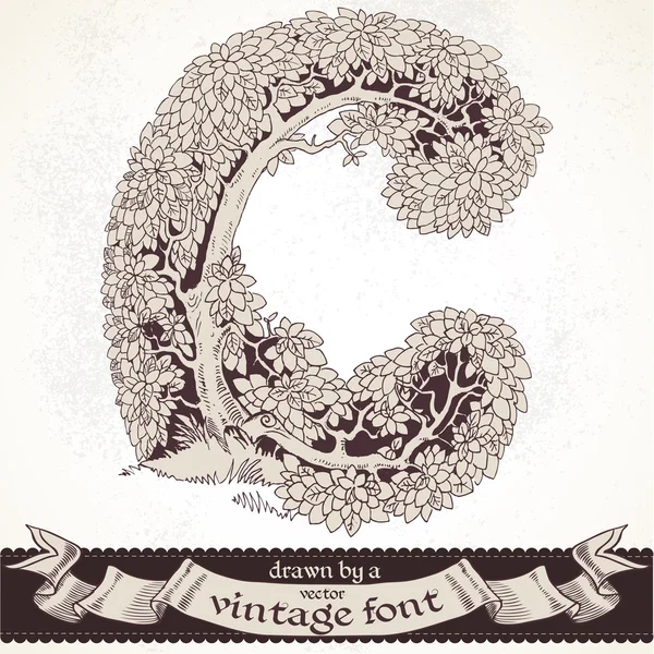 Mano di foresta di favola disegnata da un font vintage - c — Vettoriale Stock