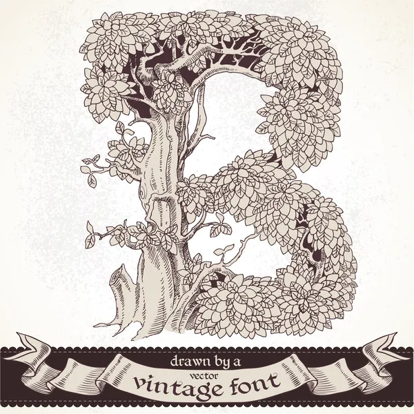 Fable mano foresta disegnata da un font vintage - b — Vettoriale Stock