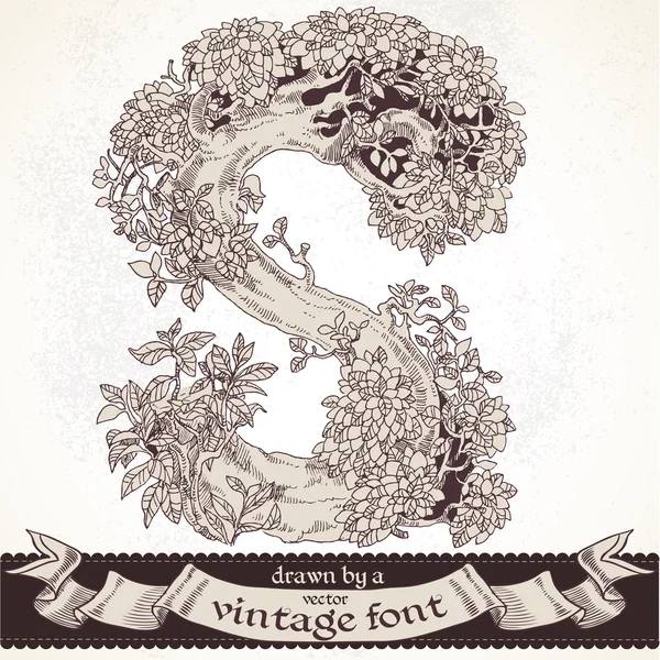 Fable mano foresta disegnata da un font vintage - s — Vettoriale Stock