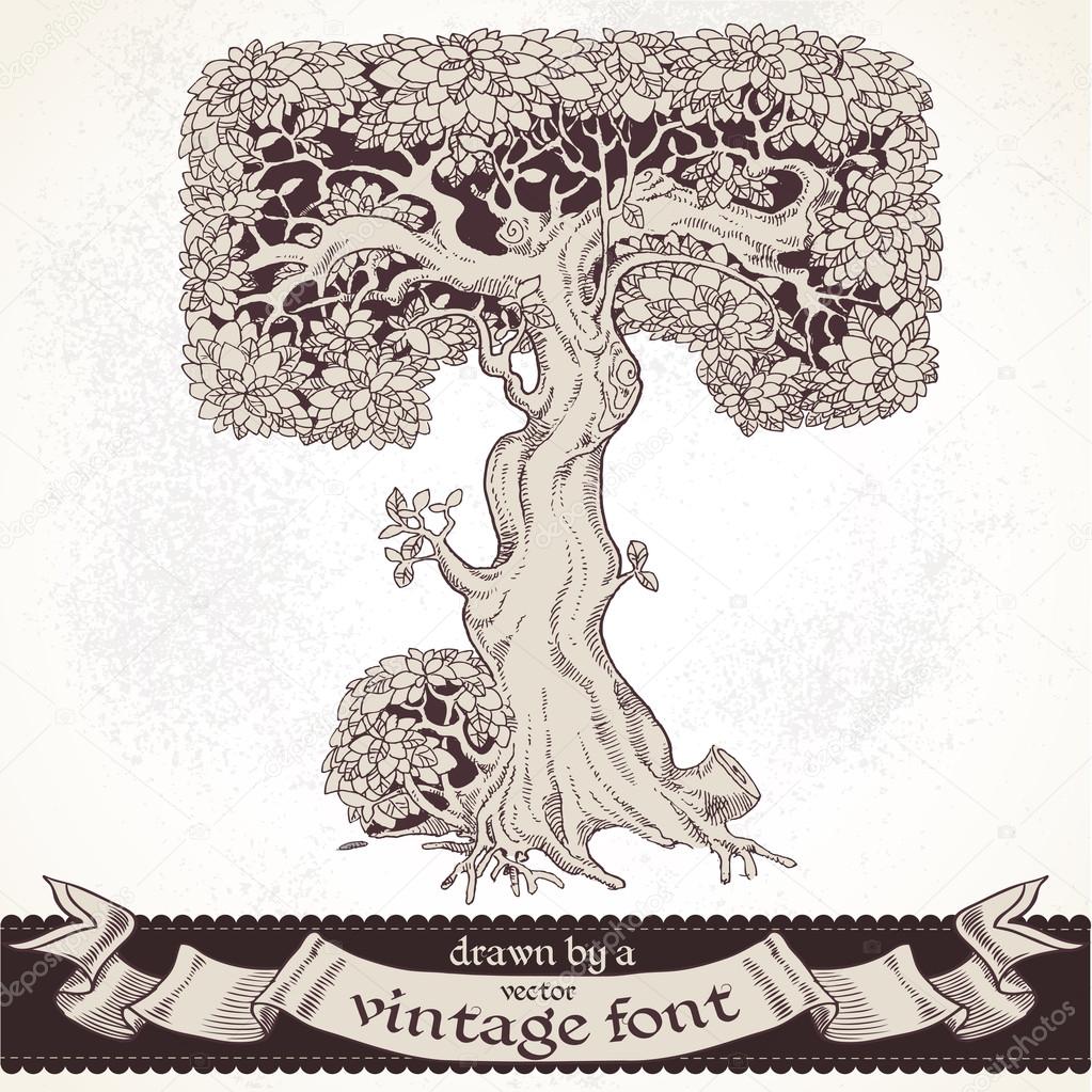 Fable forest hand drawn by a vintage font - T