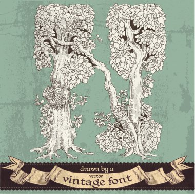 sihirli grunge orman elle çizilmiş bir vintage font - n