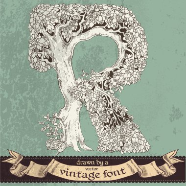 sihirli grunge orman elle çizilmiş bir vintage font - r