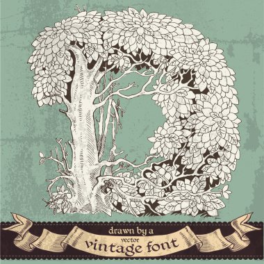 sihirli grunge orman elle çizilmiş bir vintage font - d