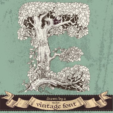 sihirli grunge orman elle çizilmiş bir vintage font - e