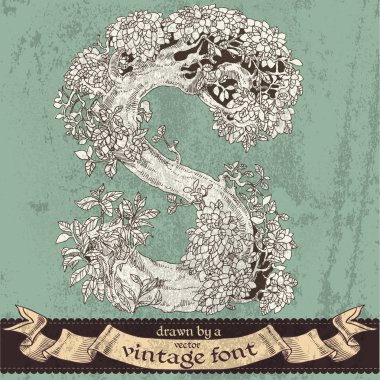 sihirli grunge orman elle çizilmiş bir vintage font - s