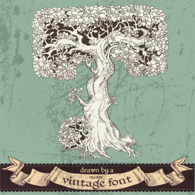 sihirli grunge orman elle çizilmiş bir vintage font - t