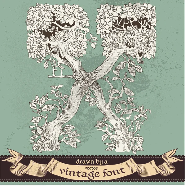 Magia mano di foresta grunge disegnata da un font vintage - x — Vettoriale Stock