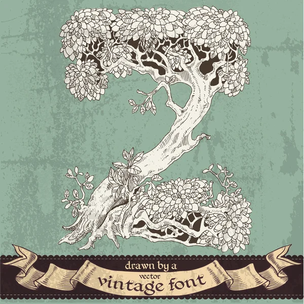 Magia mano di foresta grunge disegnata da un font vintage - z — Vettoriale Stock