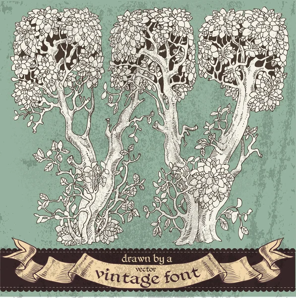 Mano di foresta magica grunge disegnata da un font vintage - w — Vettoriale Stock