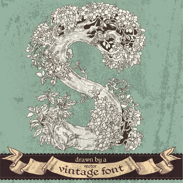 Magia mano di foresta grunge disegnata da un font vintage - s — Vettoriale Stock