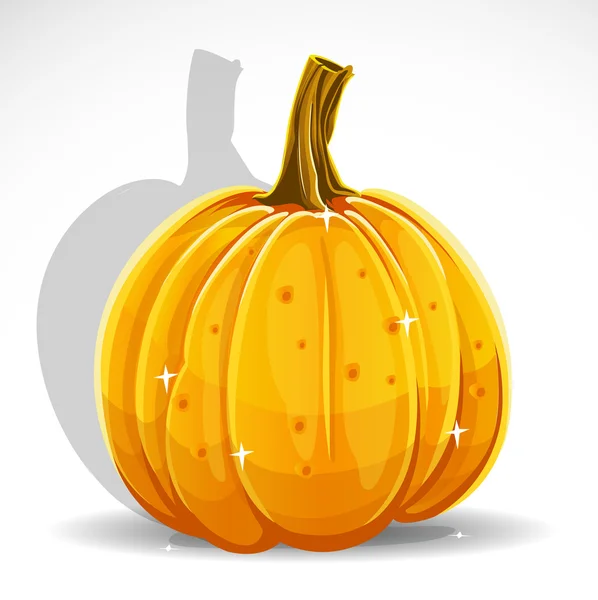 Halloween dýně izolované na bílém pozadí — Stockový vektor