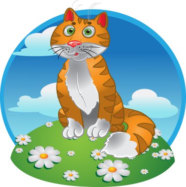 renkli arka plan üzerinde turuncu komik oturan kedi