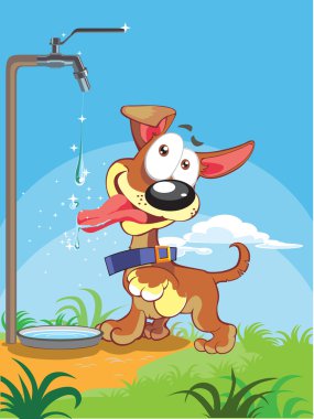 küçük köpek parlak