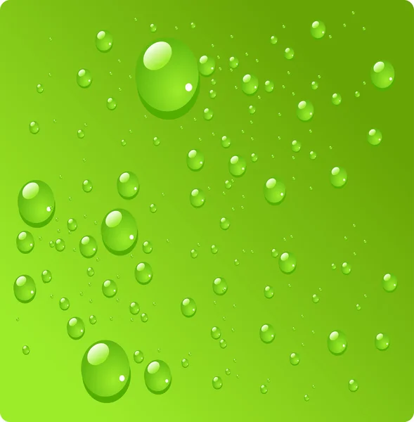绿色背景上的水滴 — 图库矢量图片