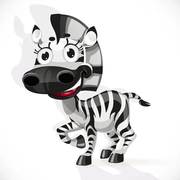Schattige baby zebra — Stockvector