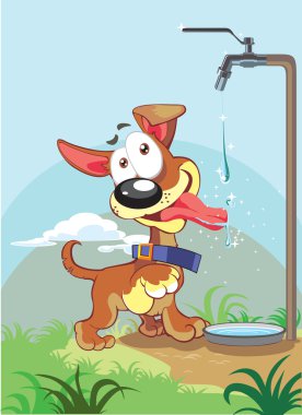 küçük köpek parlak