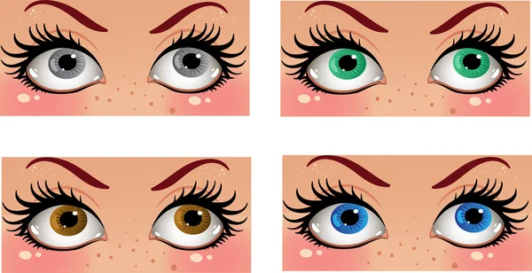 Beautiful female color eyes look in the face — Stock Vector